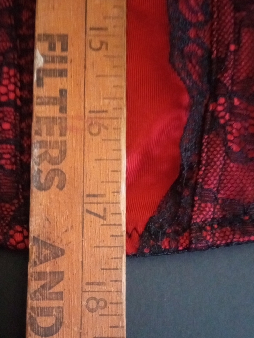 Body Rage Cortisol Red and Black Lace Panel Bustier Top Large - Picture 13 of 15